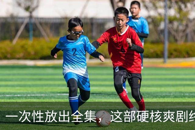 一次性放出全集，这部硬核爽剧终于回归