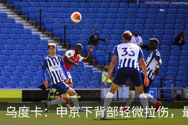 乌度卡：申京下背部轻微拉伤，最多缺席几场