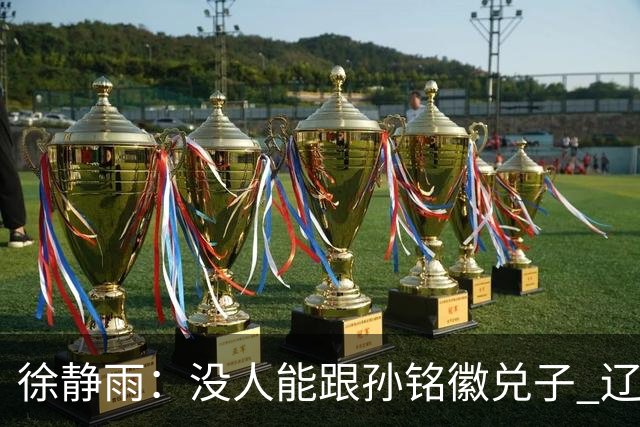 徐静雨：没人能跟孙铭徽兑子 辽宁想赢太难了