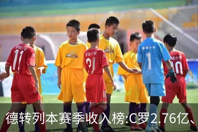 德转列本赛季收入榜:C罗2.76亿、梅西1.33亿 姆、哈、维、亚列前6