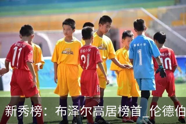 新秀榜：布泽尔高居榜首 伦德伯格、威尔逊分列二三
