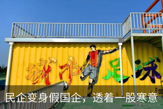 民企变身假国企，透着一股寒意