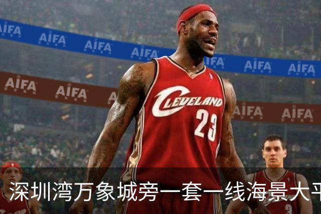 深圳湾万象城旁一套一线海景大平层拍卖，被人5827万竞得