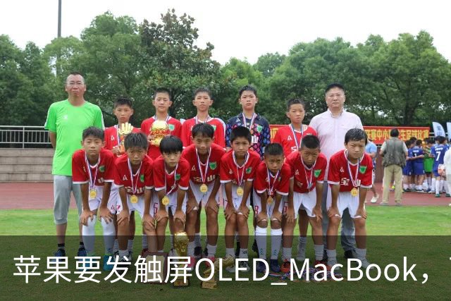 苹果要发触屏OLED MacBook，可它到底给谁用？