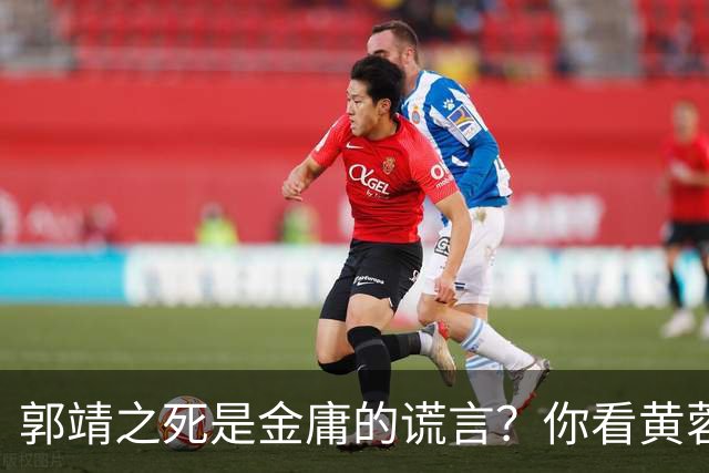 郭靖之死是金庸的谎言？你看黄蓉死后，他在倚天中改头换面成了谁