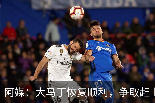 阿媒：大马丁恢复顺利，争取赶上11月阿根廷队比赛