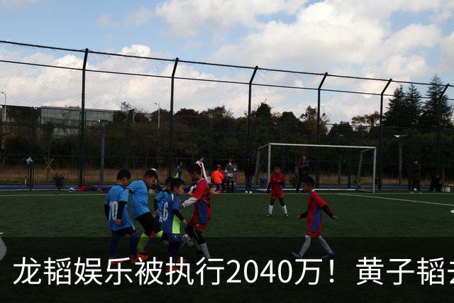 龙韬娱乐被执行2040万！黄子韬去年7月卸任执行董事，其卫生巾生意却风生水起，一年累计GMV突破7亿元